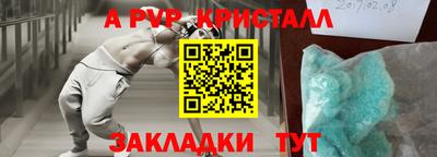 шишки Заволжье