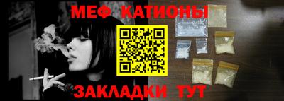 шишки Заволжье