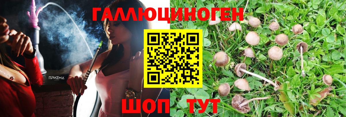 Галлюциногенные грибы ЛСД Курчатов