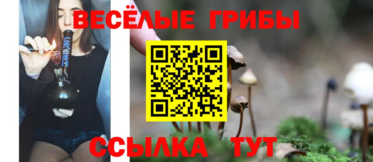 Курчатов  Галлюциногенные грибы прущие грибы  где продают наркотики  Вход с VPN  Псилоцибиновые грибы Psilocybine cubensis 